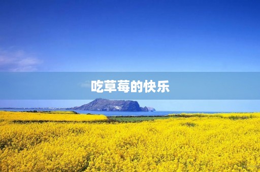 吃草莓的快乐 吃草莓的快乐
