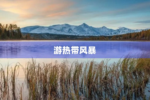 游热带风暴 游热带风暴