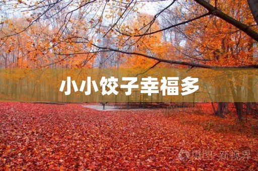 小小饺子幸福多 小小饺子幸福多