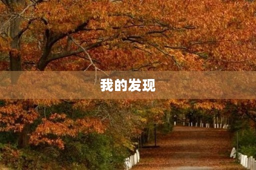 我的发现 我的发现