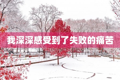 我深深感受到了失败的痛苦 我深深感受到了失败的痛苦