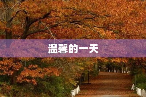 温馨的一天 温馨的一天