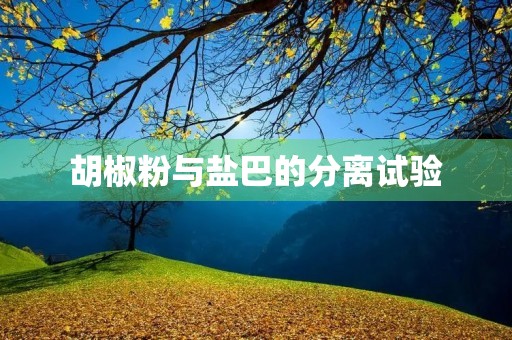 胡椒粉与盐巴的分离试验 胡椒粉与盐巴的分离试验
