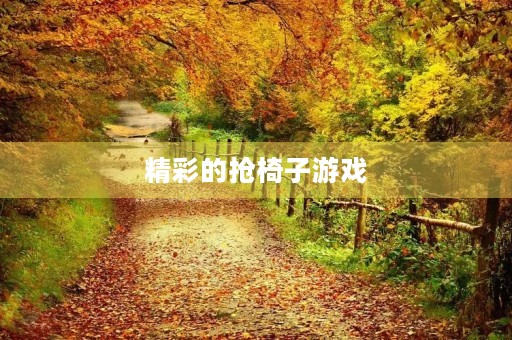 精彩的抢椅子游戏 精彩的抢椅子游戏
