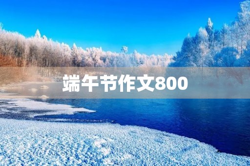 端午节作文800