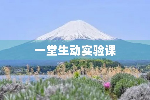 一堂生动实验课