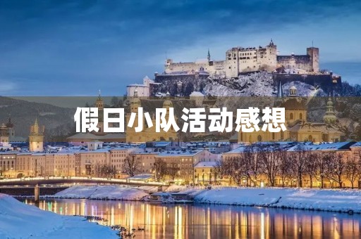 假日小队活动感想 假日小队活动感想