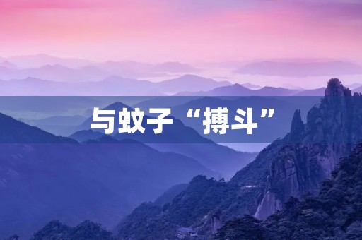 与蚊子“搏斗” 与蚊子“搏斗”