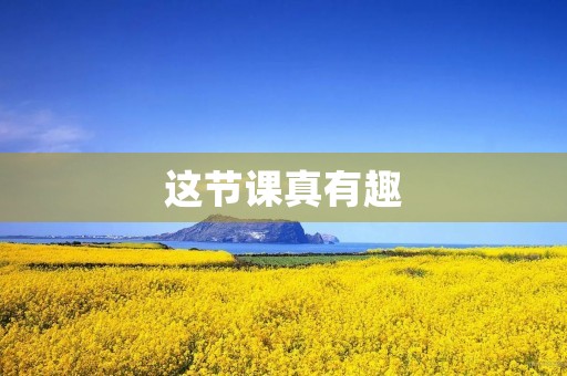 这节课真有趣 这节课真有趣