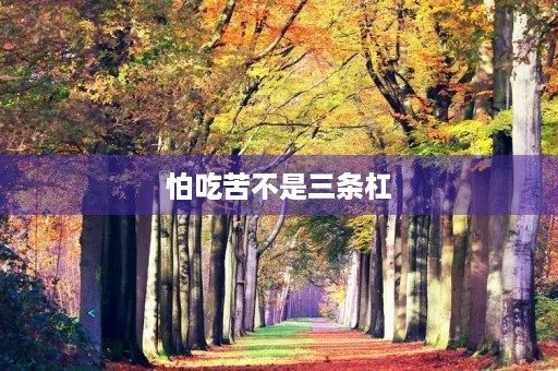 怕吃苦不是三条杠 怕吃苦不是三条杠