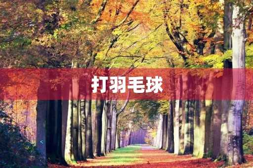 打羽毛球 打羽毛球