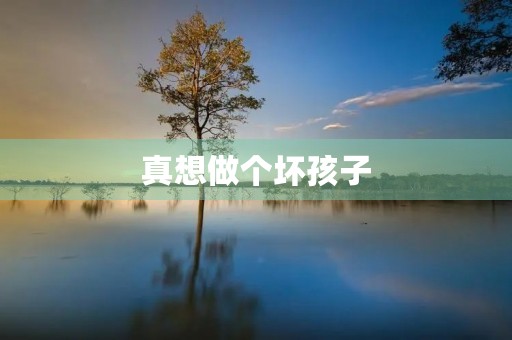 真想做个坏孩子 真想做个坏孩子