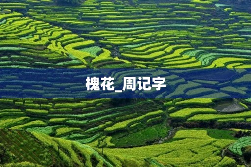 槐花_周记字 槐花_周记字
