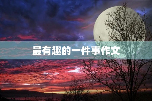 最有趣的一件事作文 最有趣的一件事作文