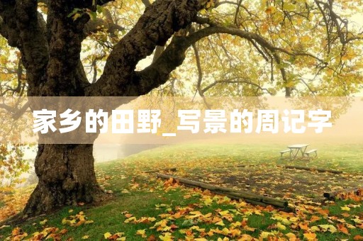 家乡的田野_写景的周记字 家乡的田野_写景的周记字