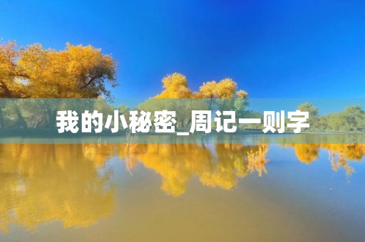 我的小秘密_周记一则字