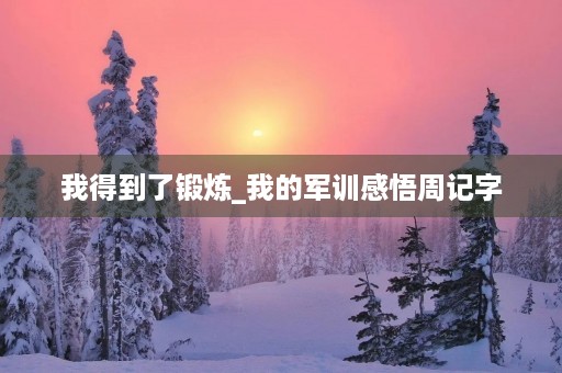 我得到了锻炼_我的军训感悟周记字 我得到了锻炼_我的军训感悟周记字