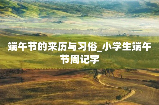 端午节的来历与习俗_小学生端午节周记字