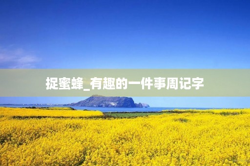 捉蜜蜂_有趣的一件事周记字 捉蜜蜂_有趣的一件事周记字