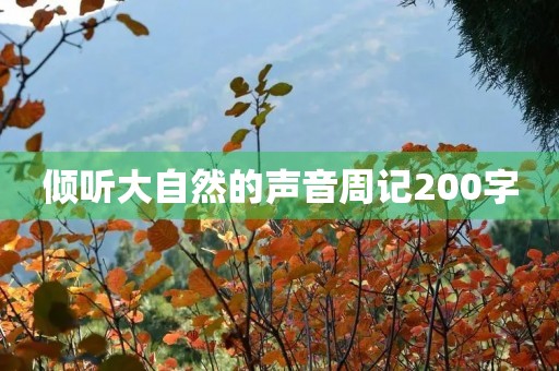 倾听大自然的声音周记200字