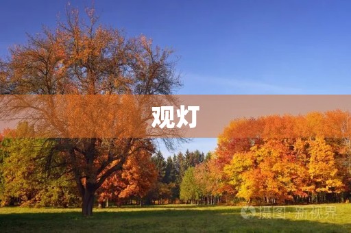 观灯 观灯