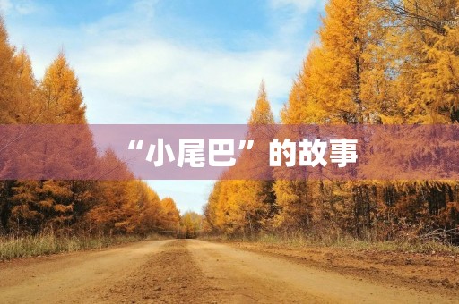 “小尾巴”的故事 “小尾巴”的故事