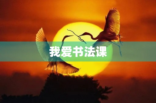 我爱书法课 我爱书法课