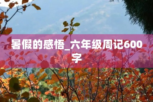 暑假的感悟_六年级周记600字 暑假的感悟_六年级周记600字