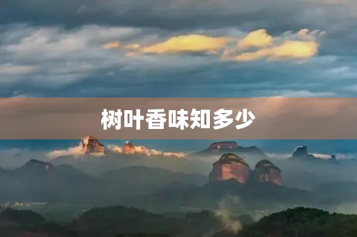 树叶香味知多少 树叶香味知多少