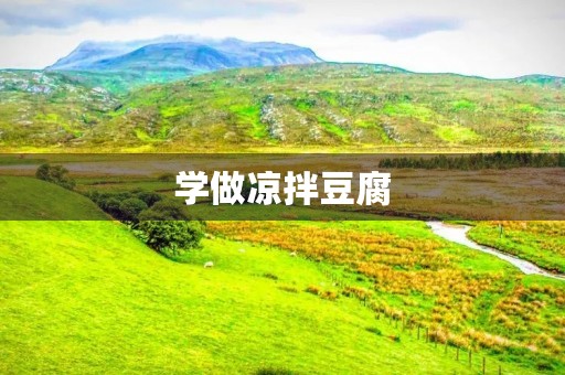 学做凉拌豆腐 学做凉拌豆腐