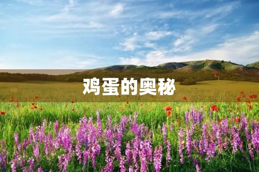 鸡蛋的奥秘