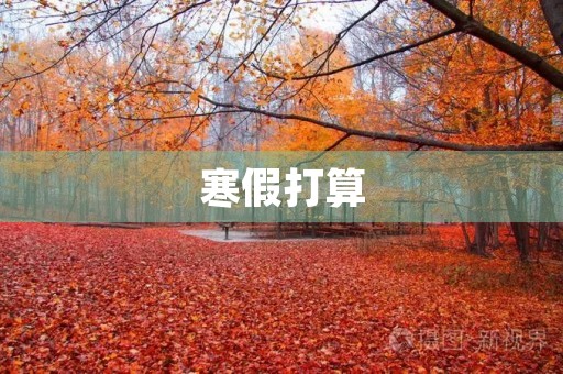 寒假打算
