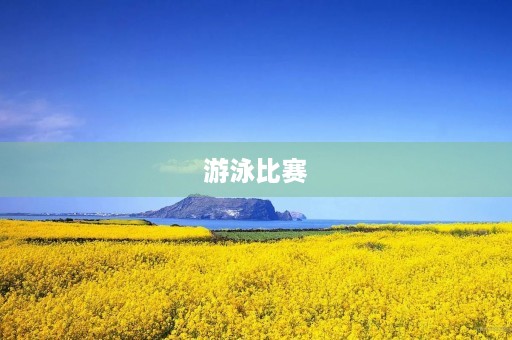 游泳比赛