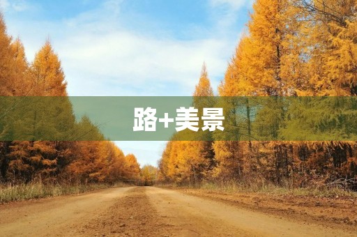 路+美景