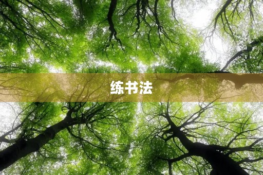 练书法