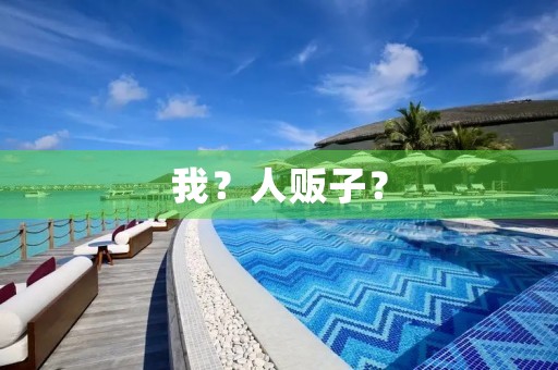 我?人贩子? 我?人贩子?