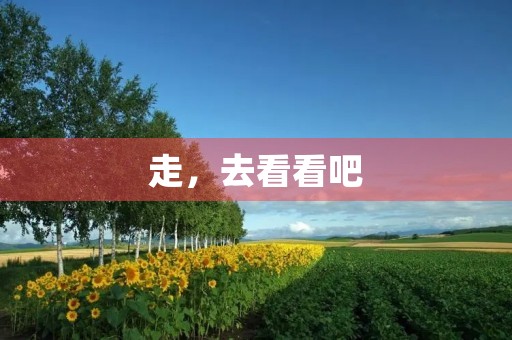 走,去看看吧 走,去看看吧