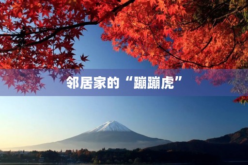 邻居家的“蹦蹦虎” 邻居家的“蹦蹦虎”