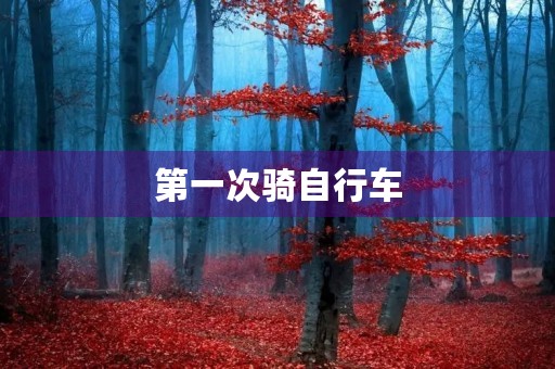 第一次骑自行车
