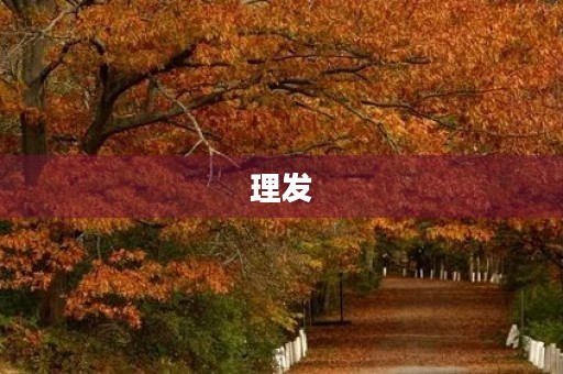 理发