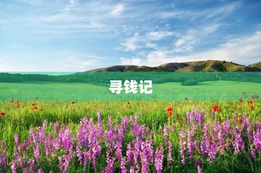 寻钱记 寻钱记