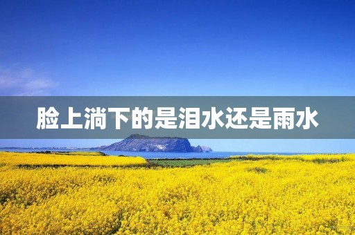 脸上淌下的是泪水还是雨水 脸上淌下的是泪水还是雨水