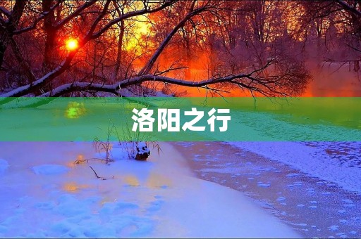 洛阳之行 洛阳之行