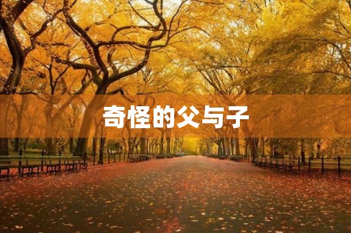 奇怪的父与子 奇怪的父与子
