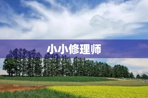 小小修理师