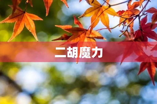 二胡魔力