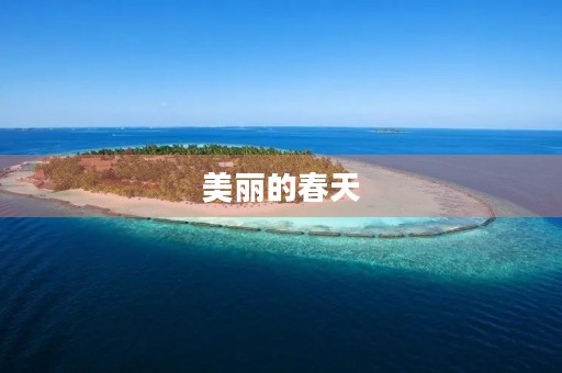 美丽的春天 美丽的春天