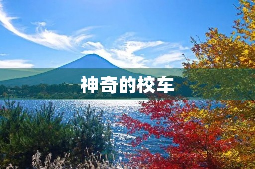 神奇的校车 神奇的校车