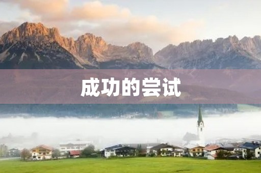 成功的尝试 成功的尝试