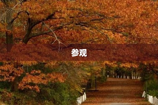 参观